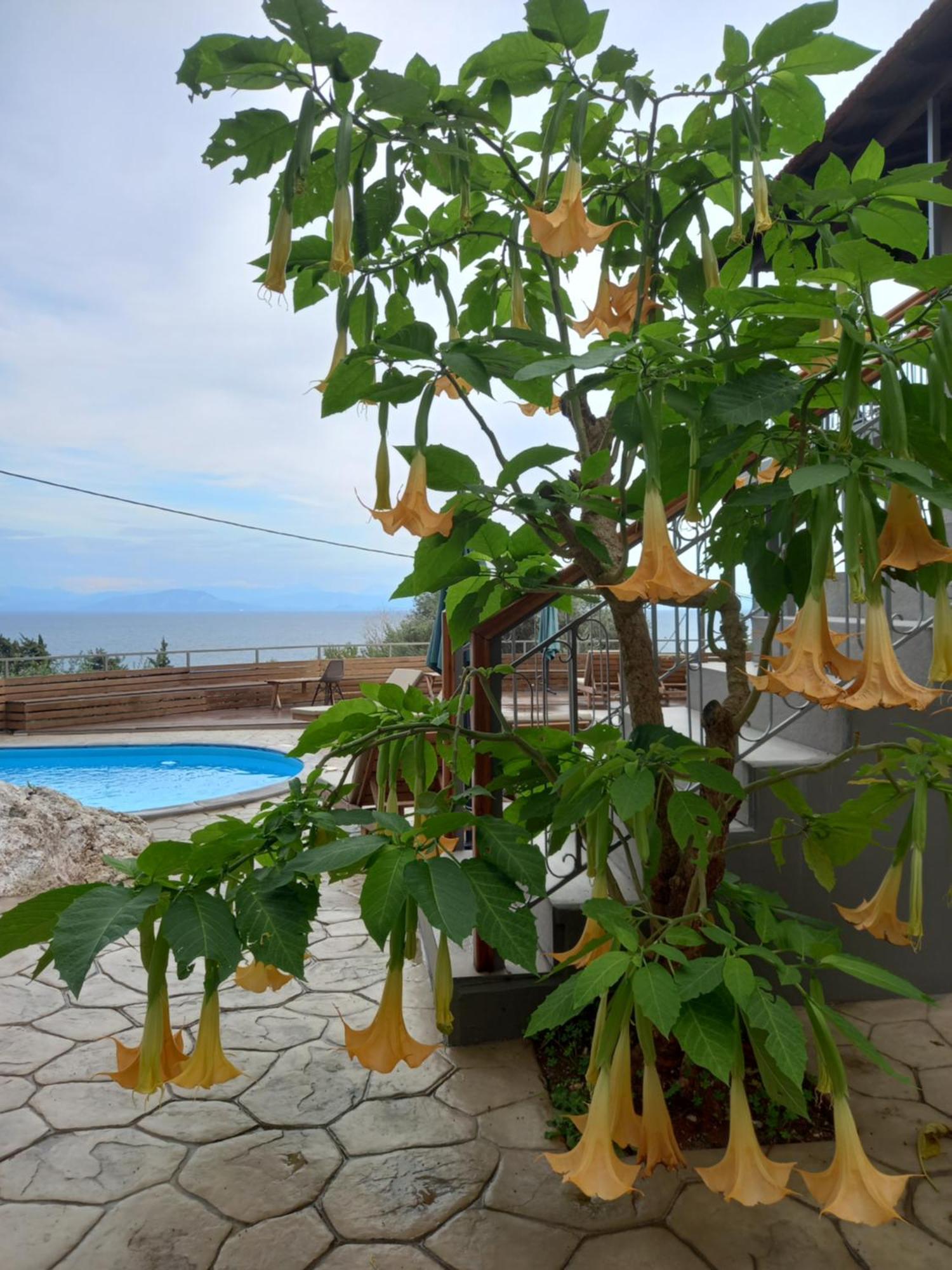 Seven Keys Luxury Suites Achílleion Dış mekan fotoğraf